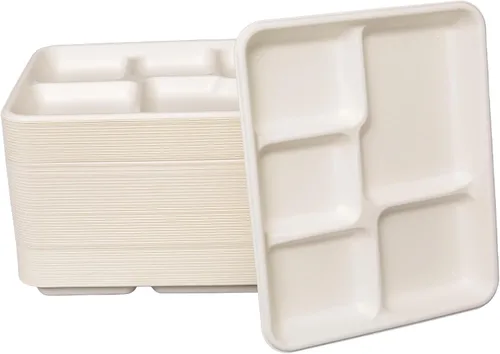 Platos pequeños y poco profundos de 10.25 x 8.25 pulgadas con 5 compartimentos, paquete de 125 platos desechables de 5 secciones, ecológicos, platos