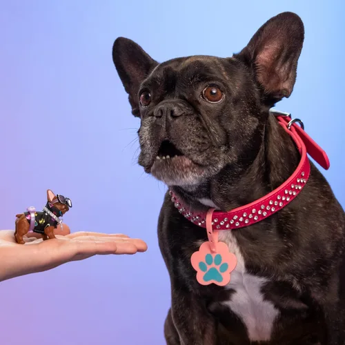 Miniatura 5 de REAL LITTLES - Transportín Coleccionable de Micro Cachorro con 1 Micro Cachorro y 5 Micro Sorpresas Funcionales Adentro! Los Estilos Pueden Variar