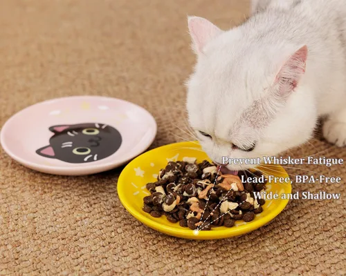 Miniatura 4 de Plato de cerámica poco profundo para gatos de 6 pulgadas, cuencos de comida para gatos sin fatiga, plato ancho y pequeño para gatitos y gatitos