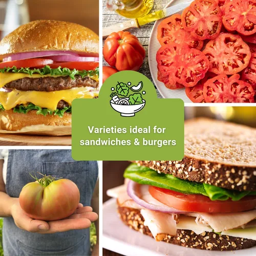 Miniatura 6 de Sow Right Seeds - Colección de semillas de tomate estilo bistec para plantar - Filete de res, Kellogg's, morado Cherokee, levantador de hipotecas