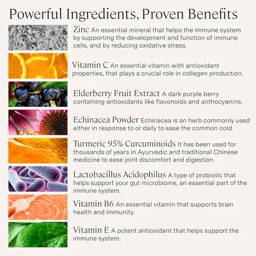 Miniatura 3 de Stonehenge Health Suplemento diario de inmunidad dinámica 10 en 1 impulsores inmunológicos de zinc, saúco, equinácea, vitamina C y probiótico L.