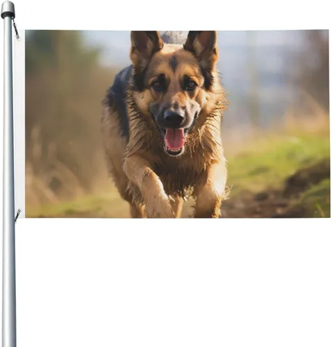 Bandera de perro pastor alemán corriendo de 3 x 5 pies para exteriores, divertida bandera de jardín, bandera de doble cara, pancarta de bienvenida