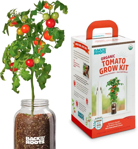 Miniatura 3 de Back to the Roots Planta de Ají Orgánico sin Transgénicos, Cultiva Ajíes Orgánicos Todo el Año, Kit de Cultivo para Ventana, Mejor Regalo