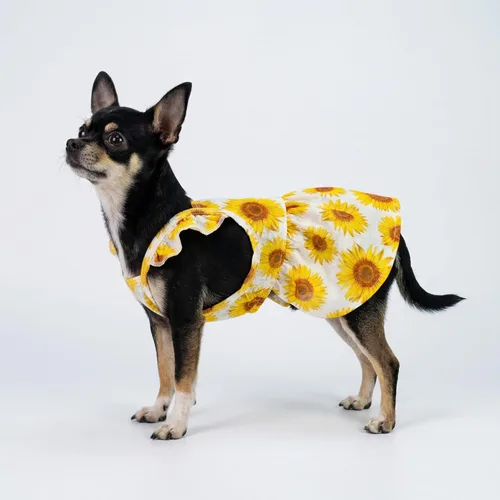 Miniatura 5 de Fitwarm Vestido de Girasol para Perro, Ropa para Perros Pequeños Hembra, Ropa para Gatos Mascotas, Blanco, Amarillo, Rojo, XS