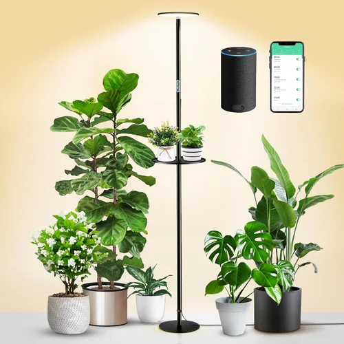 chiphy Luces de crecimiento, luz de espectro completo para plantas de interior, temporizador de control de aplicación de enchufe inteligente, 40 W,