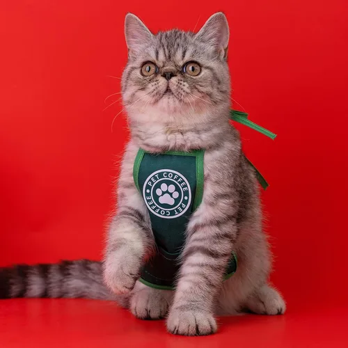 Miniatura 2 de Toalla de saliva para mascotas, ropa de Halloween para gatos, ropa de cosplay de mascotas, disfraz de perro para mascotas, ropa divertida