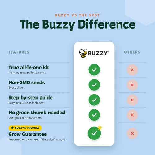 Miniatura 7 de BUZZY Seeds Daydream - Mini macetas de terracota con paquetes de semillas de margarita, juego de iniciación todo en uno con instrucciones medianas