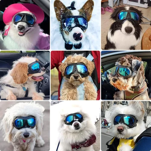 Miniatura 7 de Gafas de sol para perros de razas pequeñas a medianas, lentes de sol para perros pequeños, protección UV, resistente al viento, a prueba de nieve