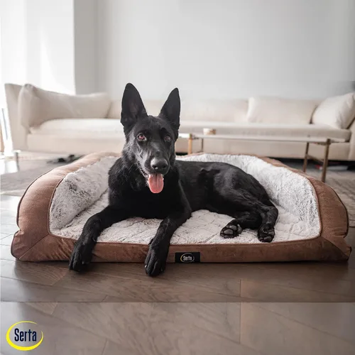 Miniatura 5 de Serta Cama ortopédica acolchada tipo sofá para perros - Marrón chocolate (Pequeño)