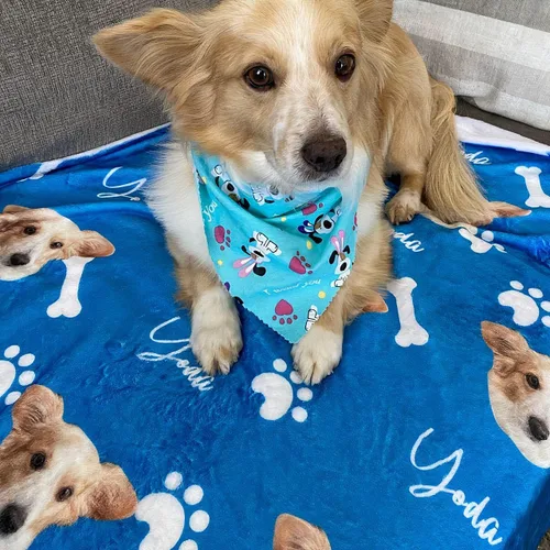 Miniatura 14 de Manta personalizada de fotos y textos para bebés, niños y adultos. Manta facial de forro polar personalizada, regalos personalizados para perros