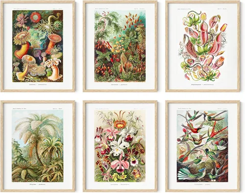 Miniatura 49 de HAUS AND HUES Impresiones de arte asiático, juego de 6 decoraciones japonesas contemporáneas de pared, pinturas de hokusai, carteles de ondas, Juego