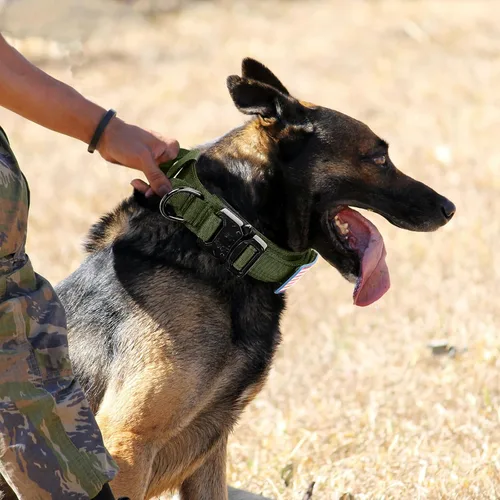 Miniatura 6 de Collar táctico militar para perro, nailon ajustable, hebilla de metal resistente con asa para entrenamiento, parches (verde, XL)