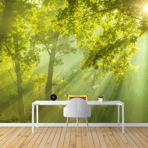 Miniatura 9 de SIGNFORD Adhesivo removible de pared/mural de pared, verde esmeralda, sol, bosque, árbol, árbol, naturaleza, desierto, fotografía, realismo