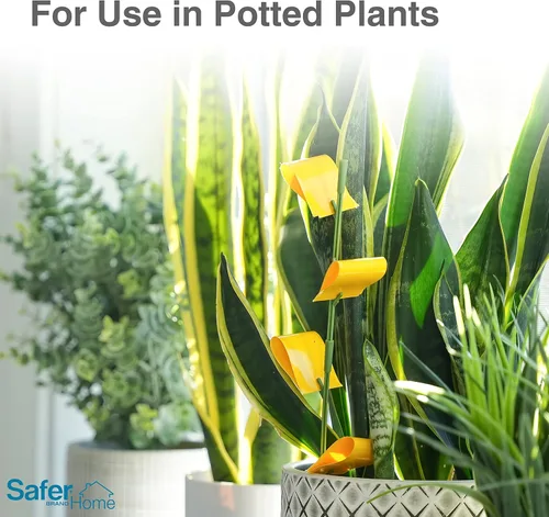 Miniatura 3 de Trampas adhesivas Safer Brand Home SH5026 para plantas de interior - 16 trampas incluidas - Controla áfidos, moscas blancas, moscas de la fruta