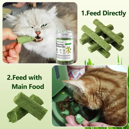 Miniatura 8 de Palillo de dentición de hierba para gatos, palo de hierba de gato enlatado para gatos de interior, gatos trata alivio de bolas de pelo y limpieza