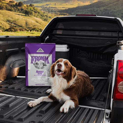 Miniatura 7 de Fromm Alimento clásico para perros adultos, alimento seco prémium para perros grandes, medianos y pequeños, receta de pollo, 5 libras