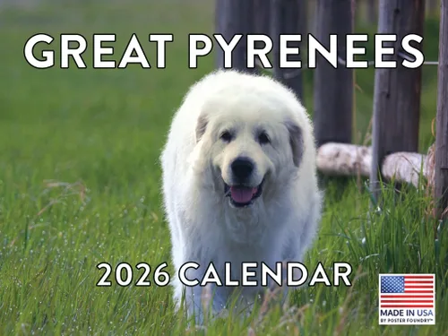 Miniatura 8 de Calendario de pared mensual 2025 Great Dane de 12 meses, fabricado en Estados Unidos