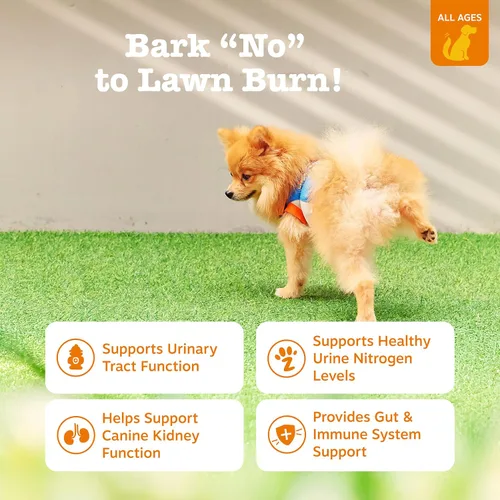 Miniatura 2 de Zesty Paws Stay Green Bites for Dogs - Masticables suaves para quemar hierba para manchas de césped causadas por la orina del perro, con arándano