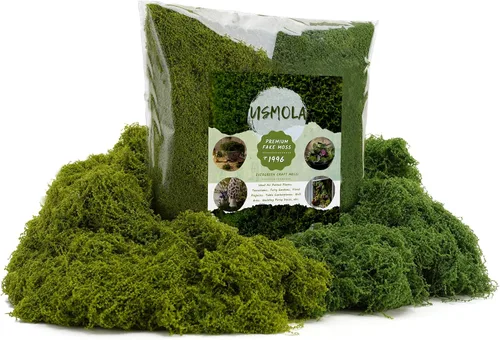 USMOLA Musgo falso de doble color para plantas en macetas de interior, musgo artificial realista de 7 onzas para jardines de hadas, terrarios y