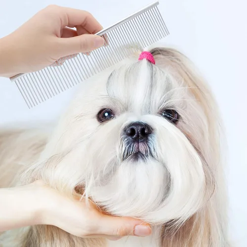 Miniatura 6 de GUBCUB Kit de peine de aseo para mascotas para perros pequeños cachorros para quitar manchas de lágrimas, 2 en 1 con dientes redondos para eliminar
