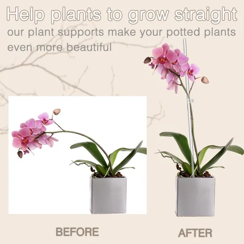 Miniatura 3 de Estacas para Plantas, Palos para Plantas 20 PCS Estacas de Soporte Acrílico Transparente para Plantas, 16 Pulgadas Estacas de Orquídea de Tallo