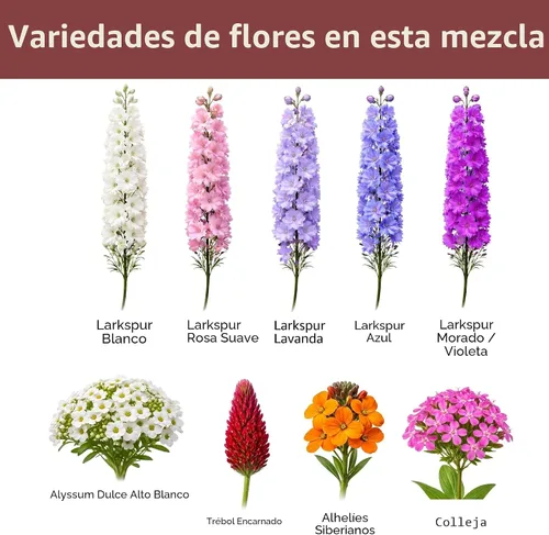 Miniatura 6 de Mix de semillas de flores silvestres para mariposas y colibríes – Más de 30.000 semillas – Paquete extra grande a granel resellable de 1 oz