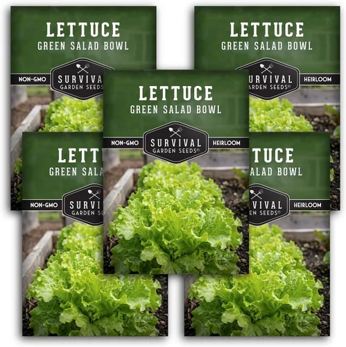 Miniatura 12 de Semillas de lechuga verde para plantar, semillas de lechuga de hojas verdes resistentes al calor para cultivo de jardín, variedad tradicional