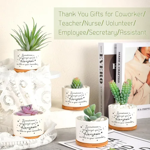 Miniatura 7 de 12 macetas inspiradoras para suculentas, regalo de agradecimiento a granel para mujeres, empleadas, profesores, compañeras de trabajo, Sometimes You