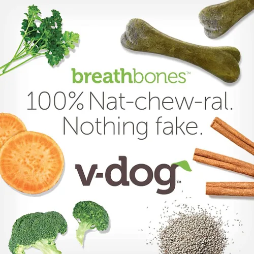 Miniatura 3 de V-dog Golosinas para perros – Limpieza de dientes veganos Breathbone Dental Huesos – Aliento fresco – 8 onzas – Minis – Todo natural, fabricado