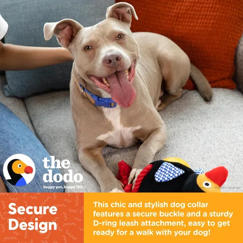 Miniatura 3 de The Dodo Collar de corcho para perro, rayas, talla pequeña; collar de material de corcho para perros, ropa diaria de mascotas; ajustable a presión