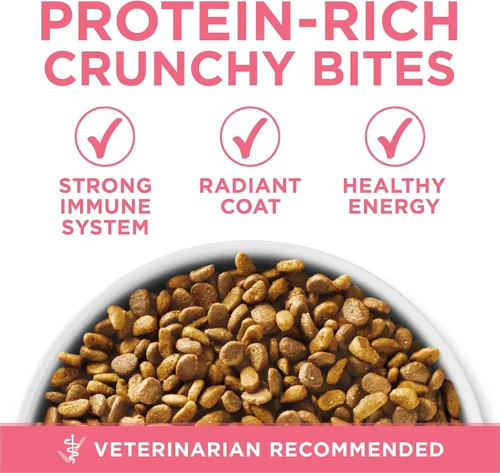 Miniatura 7 de Purina ONE Alimento seco natural para gatitos con alto contenido en proteínas, fórmula para gatitos +Plus saludable - Bolsa de 7 libras