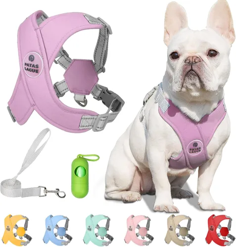 Miniatura 14 de Patas Lague Juego de arnés para perro con correa, ajustable, suave, acolchado, chaleco de entrada para perro, sin estrangulamiento, sin tirones