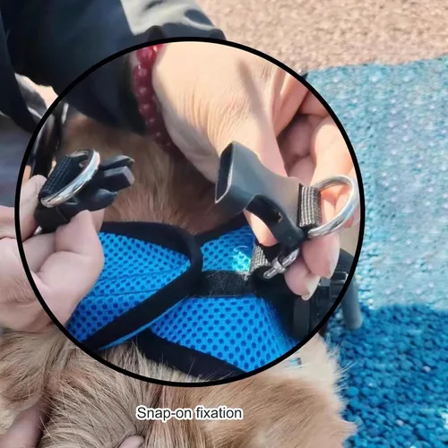Miniatura 6 de Herramienta ligera para caminar para perros, silla de ruedas ajustable para perros, soporte para piernas y soporte de cadera para perros pequeños