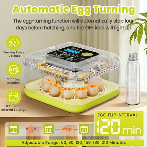 Miniatura 4 de Incubadoras de huevos para incubar huevos, incubadora de 12 huevos con giro automático de huevos y control de humedad, incubadora para huevos
