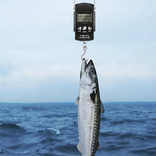 Miniatura 7 de Hungdao Kit de herramientas de red de pesca de 7 piezas para niños y hombres, accesorios de pesca, incluye herramienta de extracción de ganchos