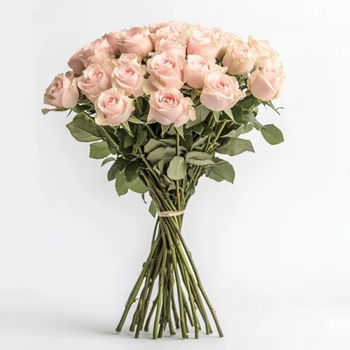 Miniatura 8 de GlobalRose Ramo de 36 rosas rojas, rosas de origen responsable, flores frescas, ramo fresco de flores seleccionadas a mano para graduación, Rojo