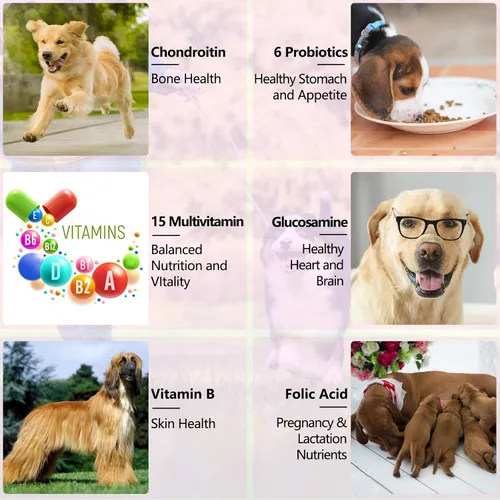 Miniatura 7 de Multivitamínico líquido para perros, vitaminas 15 en 1 para perros, multivitamínico para apoyar la piel y el abrigo, corazón, huesos