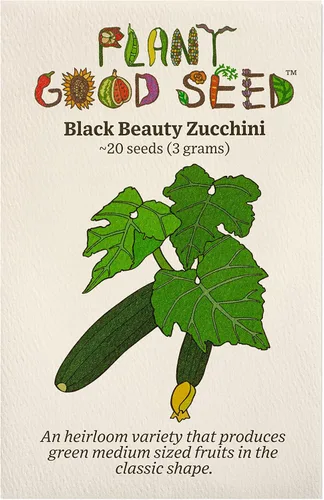 Plant Good Seed Semillas de calabacín orgánicas Black Beauty, paquete de 20, semillas tradicionales para plantar verduras, suministros de