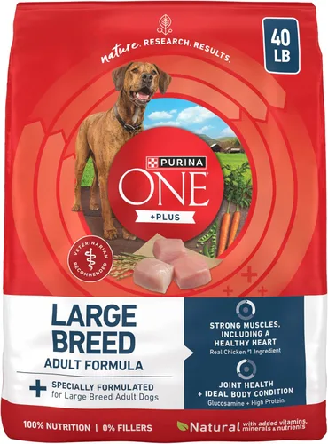 Purina ONE Plus - Fórmula seca de alimento para perros adultos de raza grande, rico en proteínas, sabor natural de pollo – bolsa de 40 libras