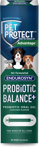 Pet Protect Dog Probiotic Balance+ Gel oral, endurosina formulada por veterinarios, prebióticos y probióticos para perros, suministro para 3 días,