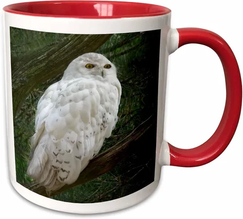Miniatura 10 de 3dRose mug_154800_4 - Taza con diseño de búho blanco nieve posado en una rama contra un fondo verde, 11 onzas, color negro