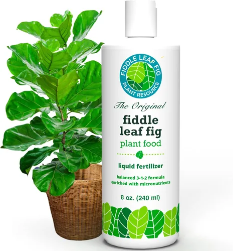 Fiddle Leaf Fig Plant Food – Fertilizante líquido equilibrado NPK 3-1-2 para hojas más grandes, raíces más fuertes y crecimiento constante y