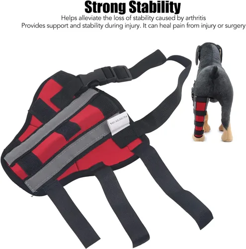 Miniatura 9 de Gavigain Soporte ajustable para patas traseras de perro, soporte de neopreno, alivio del dolor y recuperación, estabilidad y movilidad, para perros