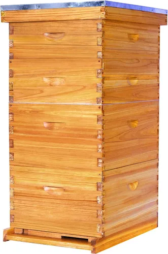 Miniatura 9 de POLLIBEE Colmena de abejas de 10 marcos, kit de colmena recubierta de cera de abeja para el cuidador de abejas, colmena completa incluye 1 caja