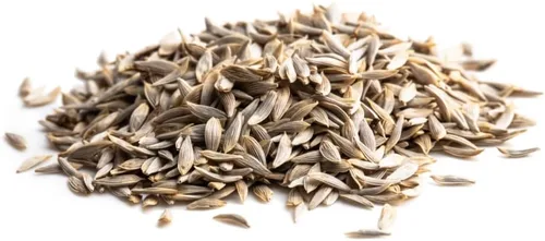 Miniatura 8 de Semillas de Lechuga Romana (Parris White Cos) (2300 Semillas)
