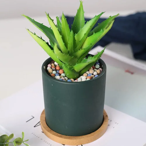 Miniatura 6 de Piedras de arcilla de 2 libras Jardinería Ceramsite Orquídea Rocas Drenaje Purificación de Agua Decoración Ceramsite Decoración Cultivo Piedra