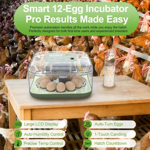 Miniatura 3 de Incubadoras para incubar huevos, capacidad de 12 huevos, incubadora de huevos con giro automático de huevos y control de humedad para todas las aves