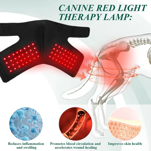 Miniatura 2 de Soporte de cadera para perro con terapia de luz infrarroja roja - Alivio del dolor para artritis, displasia de cadera, problemas de columna