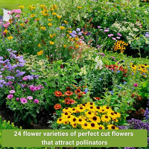 Miniatura 4 de Sow Right Seeds - Gran colección de semillas de flores para plantar - Zinnias, girasoles, margaritas, cosmos, claveles, stock y más - Atraen a