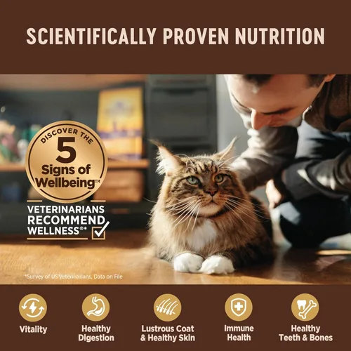Miniatura 5 de Wellness CORE+ Digestive Health Pate Alimento húmedo enlatado en paté para adultos, natural, rico en proteínas, sin granos, receta de pescado